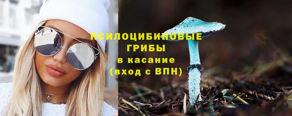 2c-b Богородицк