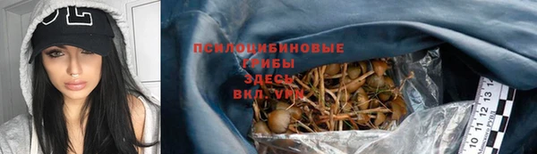 альфа пвп Богданович